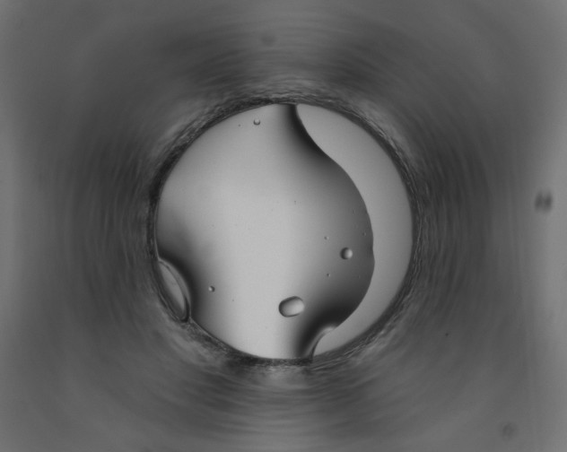 X0000091850501200710031644