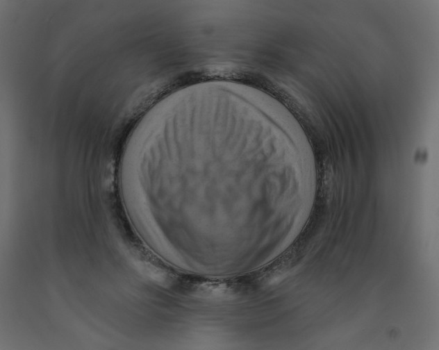 X0000091850502200710031644