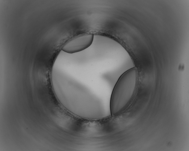 X0000091850503200710031644
