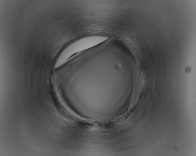 X0000091850504200710031644