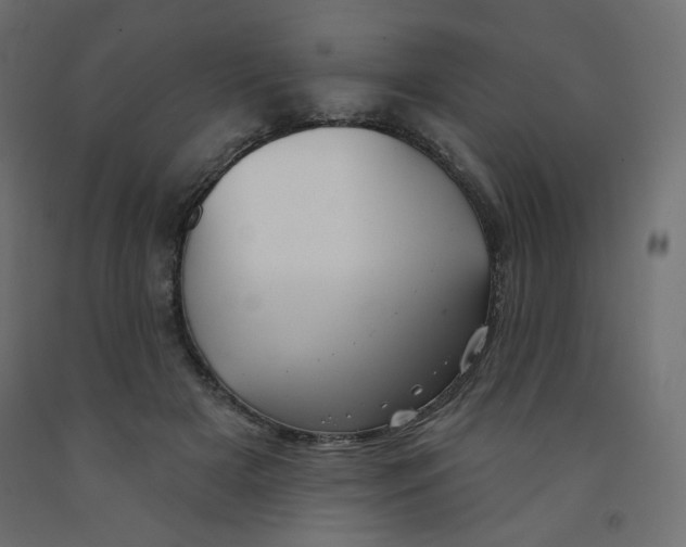 X0000091850505200710031644