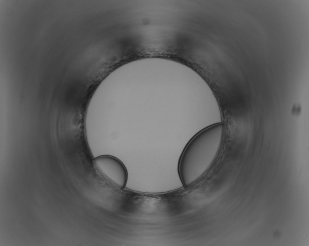 X0000091850507200710031644
