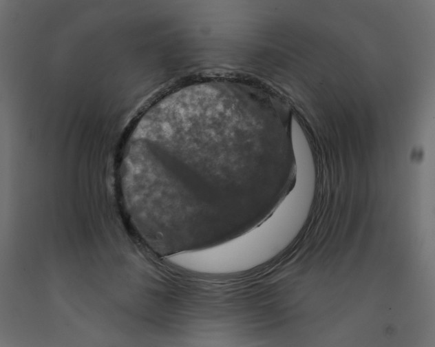 X0000091850508200710031644
