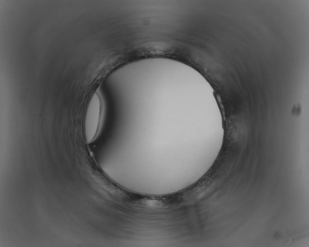 X0000091850509200710031644