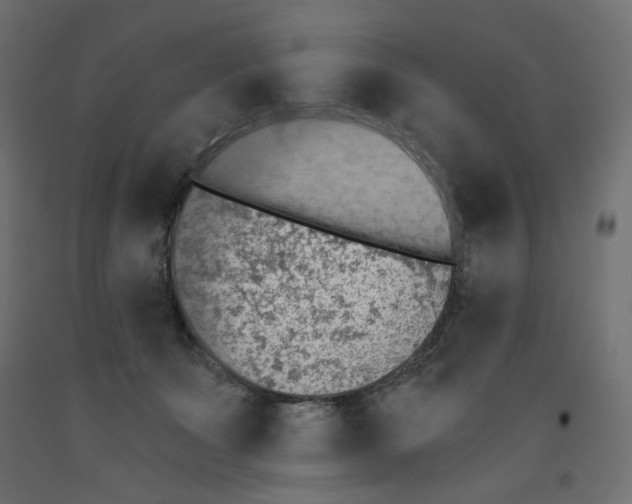 X0000091850511200710031644