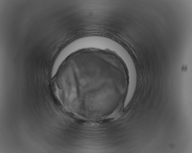 X0000091850512200710031644