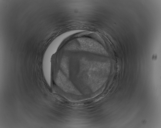 X0000091850513200710031644