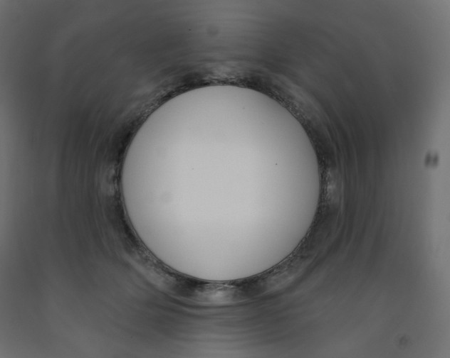X0000091850514200710031644
