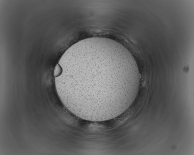 X0000091850515200710031644