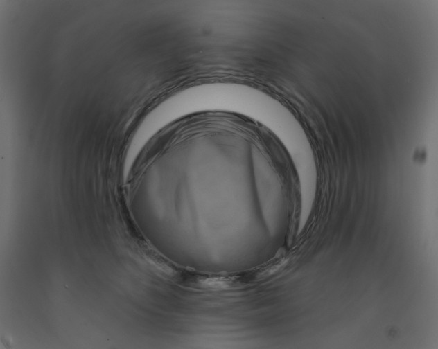 X0000091850516200710031644