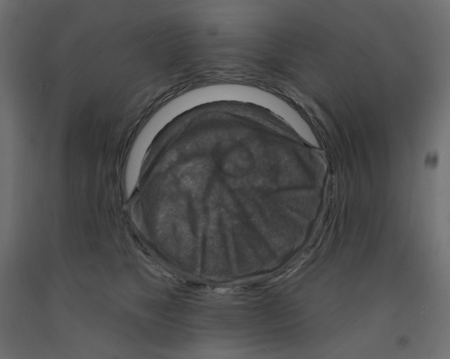 X0000091850517200710031644