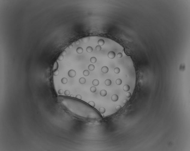 X0000091850519200710031644