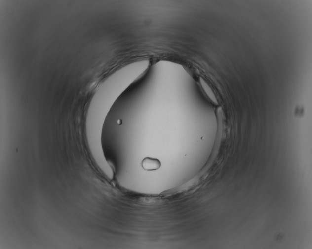 X0000091850520200710031644