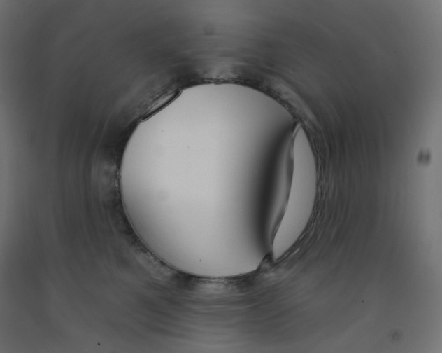 X0000091850521200710031644