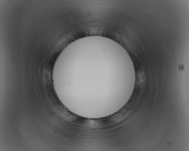 X0000091850522200710031644