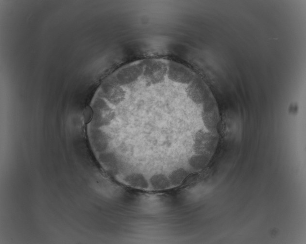X0000091850523200710031644