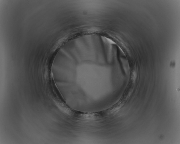 X0000091850524200710031644
