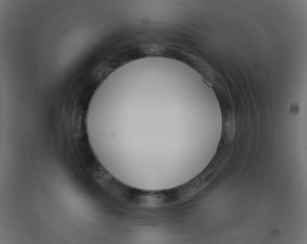 X0000091850525200710031644