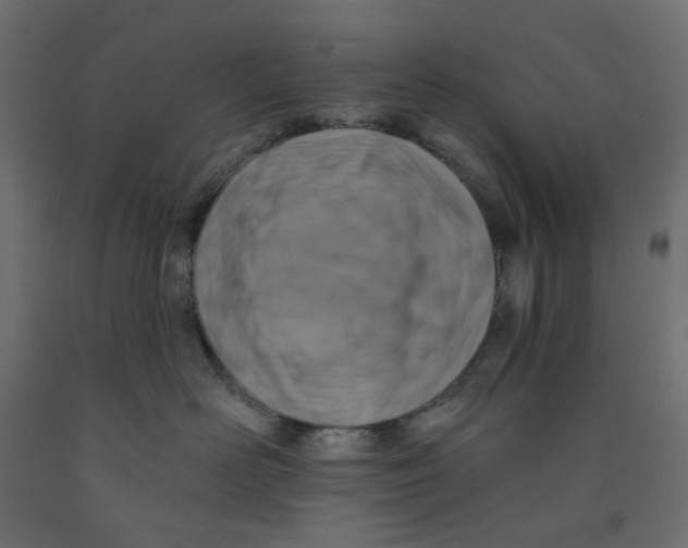 X0000091850526200710031644