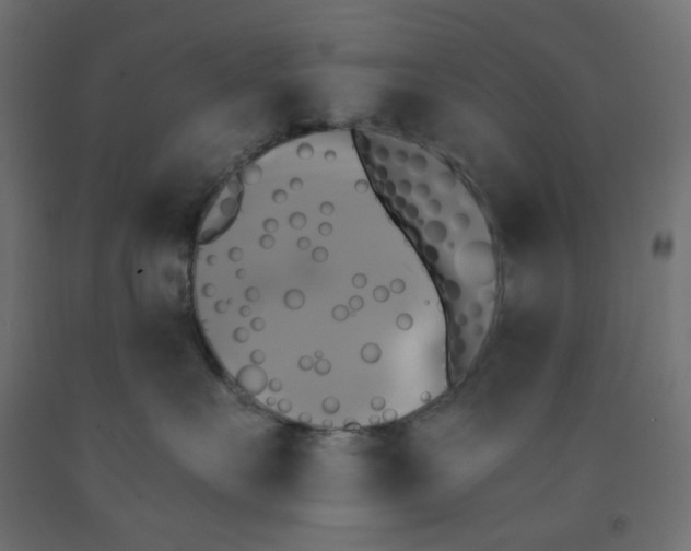 X0000091850527200710031644