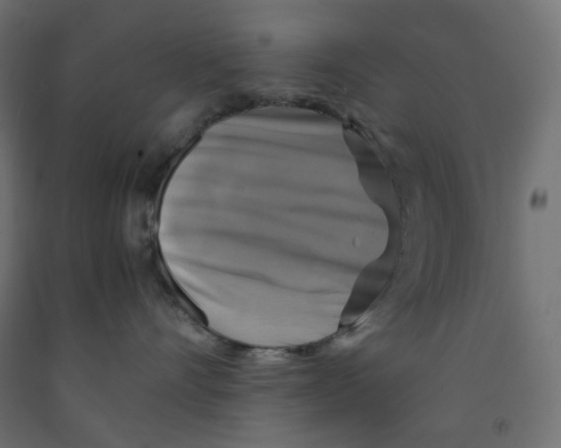 X0000091850528200710031644