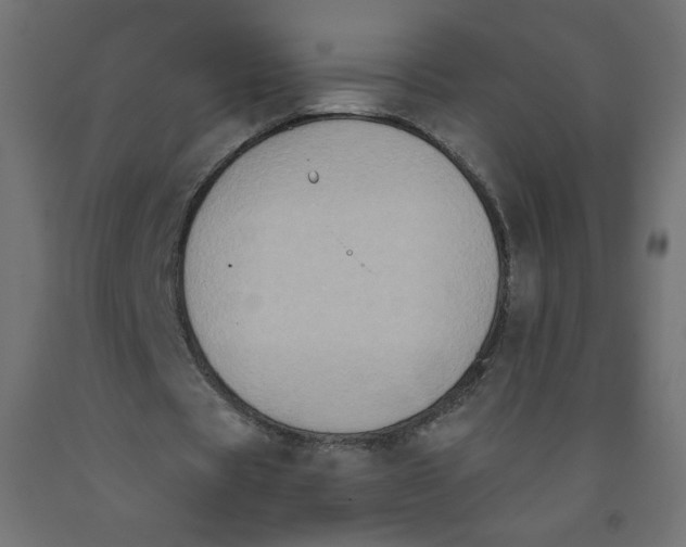 X0000091850529200710031643