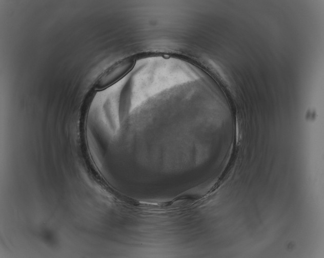 X0000091850531200710031643