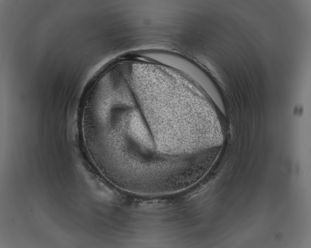 X0000091850532200710031643