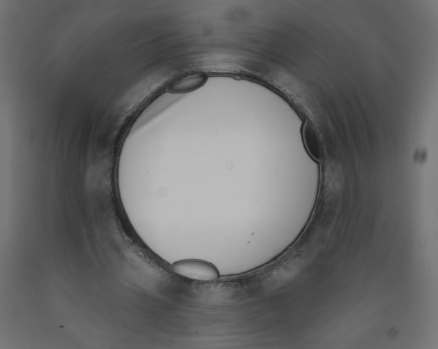 X0000091850533200710031643
