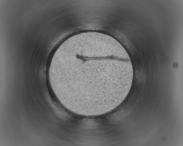 X0000091850534200710031643