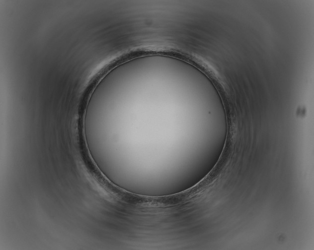 X0000091850535200710031643