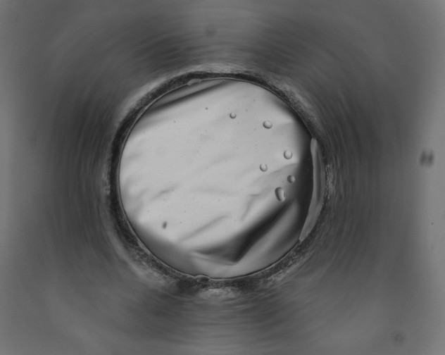 X0000091850536200710031643
