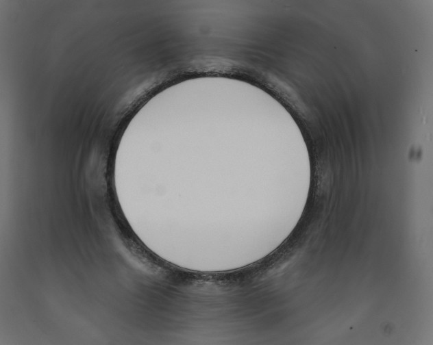 X0000091850538200710031643
