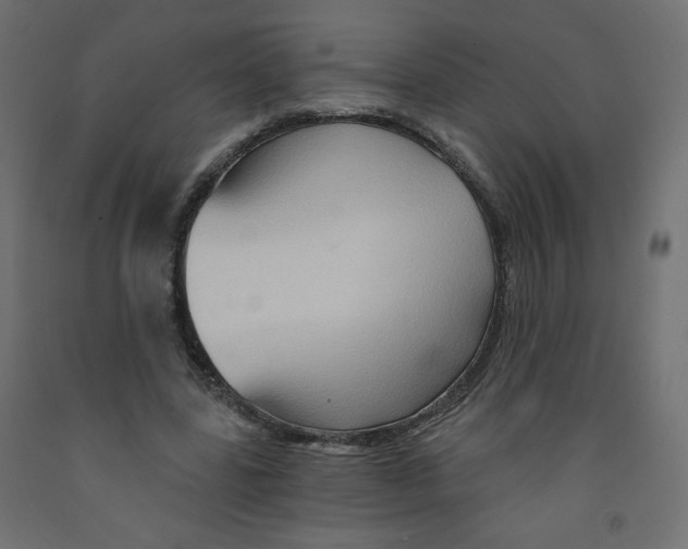X0000091850539200710031643