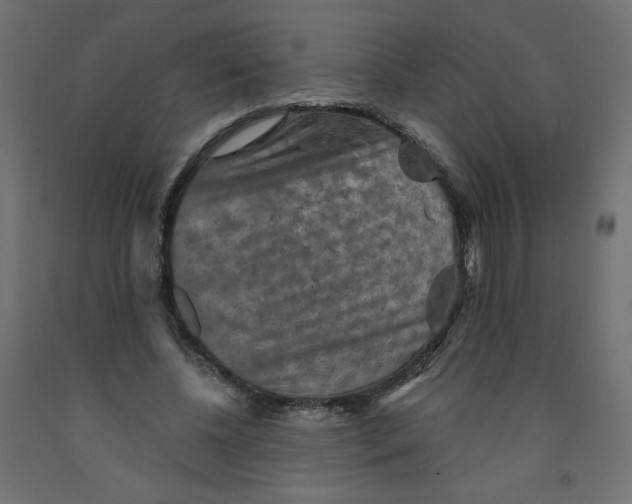 X0000091850540200710031643