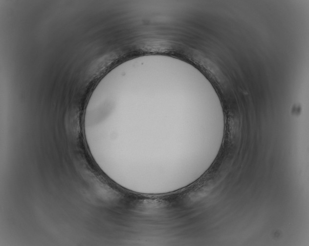 X0000091850541200710031643