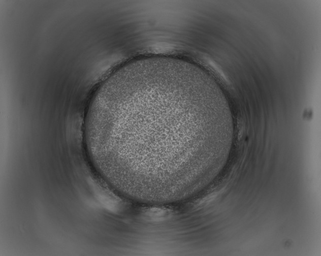 X0000091850542200710031643