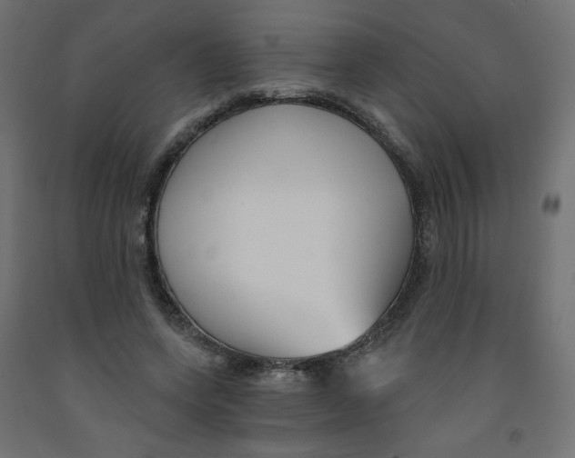 X0000091850543200710031643