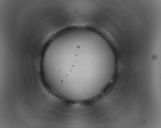 X0000091850544200710031643