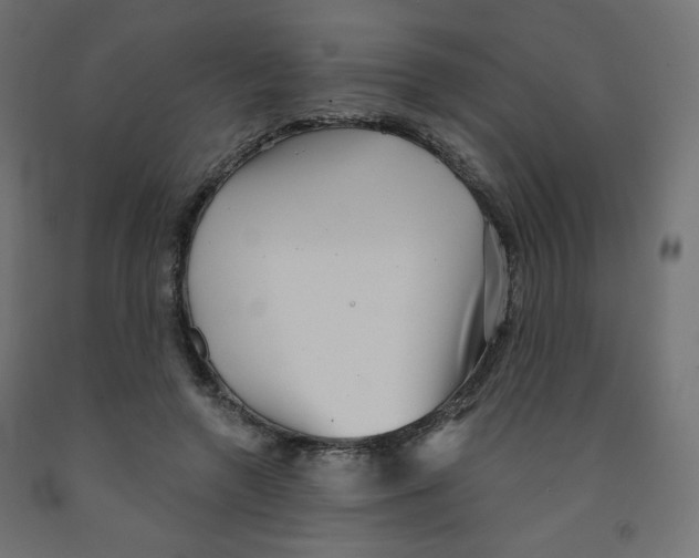 X0000091850546200710031643