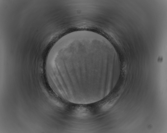 X0000091850547200710031643