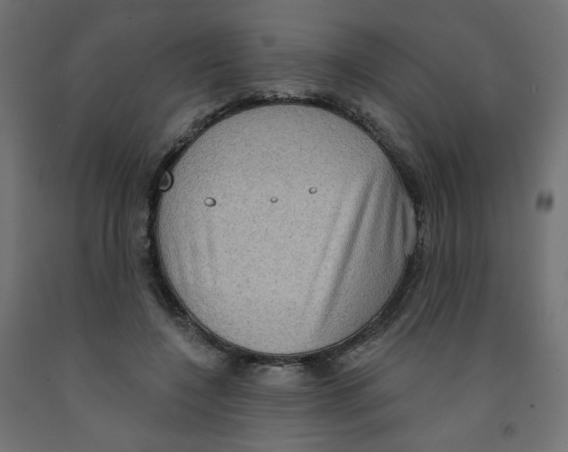 X0000091850548200710031643