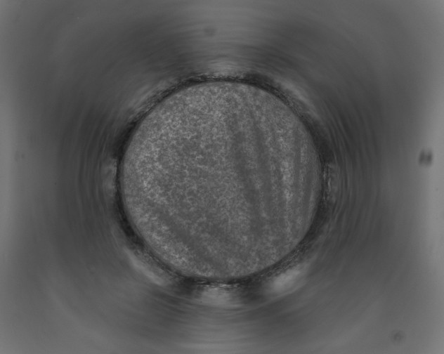 X0000091850550200710031643