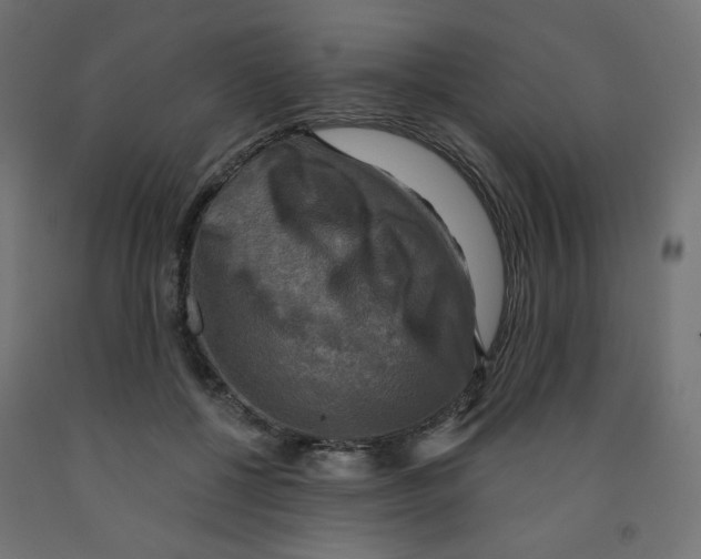 X0000091850552200710031643