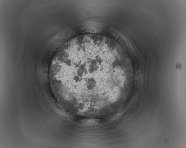 X0000091850553200710031643