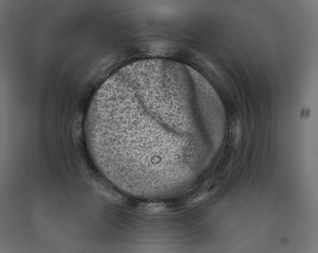 X0000091850554200710031643
