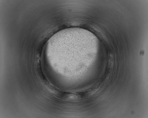 X0000091850555200710031643