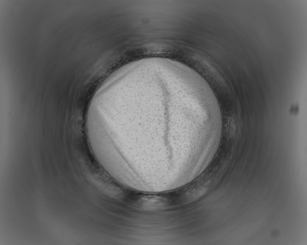 X0000091850557200710031643