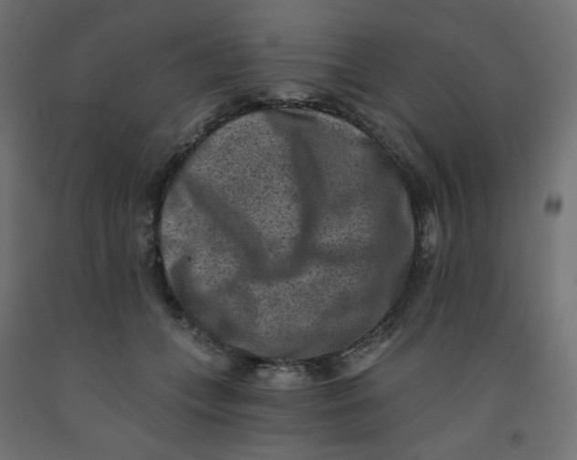 X0000091850559200710031643