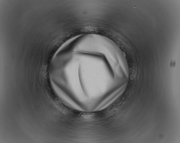 X0000091850560200710031643